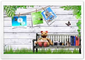 Teddy Ultra HD Wallpaper for 4K UHD Widescreen desktop, tablet & smartphone