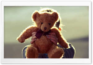 Teddy Bear Ultra HD Wallpaper for 4K UHD Widescreen desktop, tablet & smartphone