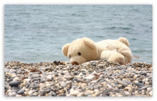 teddy bear UltraHD Wallpaper for Widescreen 16:10 ;