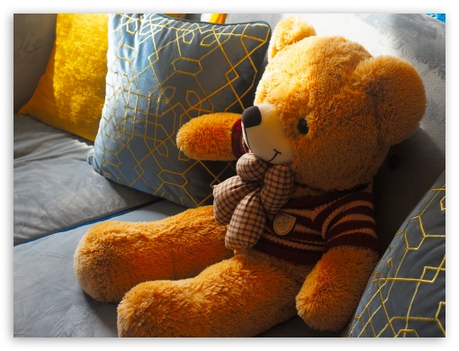 Cute Teddy Bear Wallpaper HD 4K bear backgrounds Download