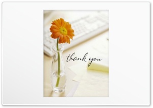 Thank You 4K UHD Wallpaper for Widescreen and UltraWide Desktop, UltraHD TV, Smartphone, Tablet