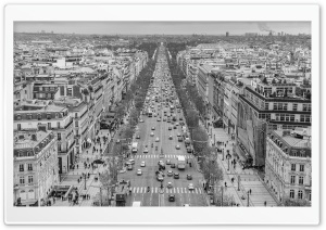 The Avenue des Champs Elysees Black and White Ultra HD Wallpaper for 4K UHD Widescreen desktop, tablet & smartphone