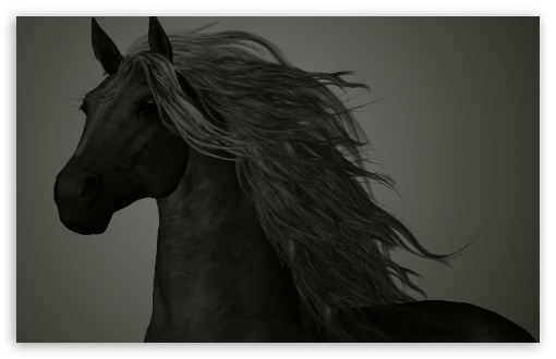 Black Horse, Balck Wallpaper Download