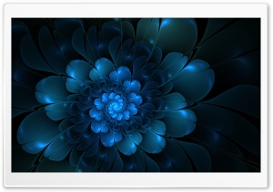The Blue Flower Ultra HD Wallpaper for 4K UHD Widescreen desktop, tablet & smartphone