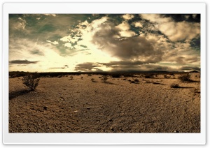 The Desert Tortoise Natural Area Ultra HD Wallpaper for 4K UHD Widescreen desktop, tablet & smartphone