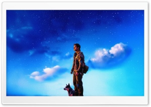 The Dog Stars 2026 Movie 4K UHD Wallpaper for Widescreen and UltraWide Desktop, UltraHD TV, Smartphone, Tablet