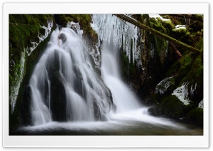 The Freeze 4K UHD Wallpaper for Widescreen and UltraWide Desktop, UltraHD TV, Smartphone, Tablet