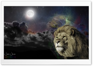 The Great Lion Ultra HD Wallpaper for 4K UHD Widescreen desktop, tablet & smartphone