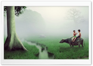 The Green farm Ultra HD Wallpaper for 4K UHD Widescreen desktop, tablet & smartphone