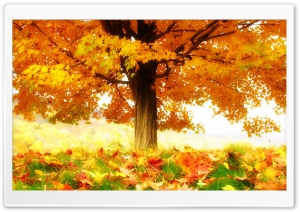 The Joy Of Autumn Ultra HD Wallpaper for 4K UHD Widescreen desktop, tablet & smartphone