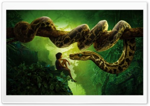 The Jungle Book Ultra HD Wallpaper for 4K UHD Widescreen desktop, tablet & smartphone
