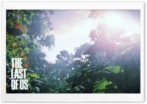 The Last Of Us Scenery Ultra HD Wallpaper for 4K UHD Widescreen desktop, tablet & smartphone