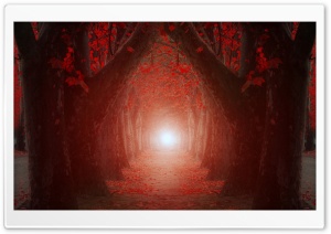 The Light At The End Of The Tree Tunnel Ultra HD Wallpaper for 4K UHD Widescreen desktop, tablet & smartphone