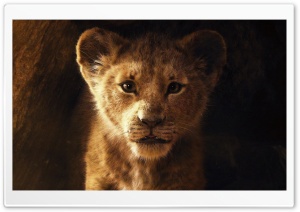 The Lion King 2019 5K Ultra HD Wallpaper for 4K UHD Widescreen desktop, tablet & smartphone