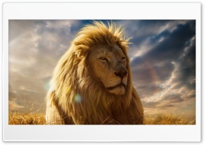 The Lion King 2019 Ultra HD Wallpaper for 4K UHD Widescreen desktop, tablet & smartphone
