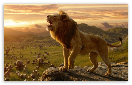 lion king 2 iphone wallpaper