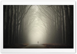 The Loneliness Of Autumn Ultra HD Wallpaper for 4K UHD Widescreen desktop, tablet & smartphone