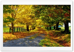 The Most Beautiful Autumn Ultra HD Wallpaper for 4K UHD Widescreen desktop, tablet & smartphone
