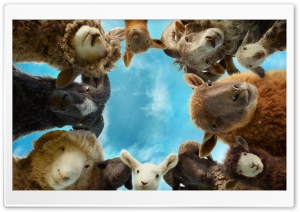 The Sheep Detectives Movie 4K UHD Wallpaper for Widescreen and UltraWide Desktop, UltraHD TV, Smartphone, Tablet