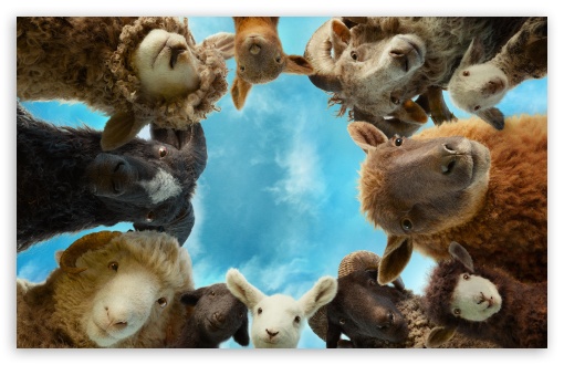 The Sheep Detectives Movie UltraHD Wallpaper for UHD 16:9 ; HD 16:9 ; UltraWide 21:9 24:10 32:9 32:10 ; Widescreen 16:10 ; Tablet 1:1 ; Dual 16:10 16:9 ; Triple 16:10 16:9 ;
