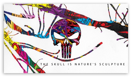 The Skull is Natures Sculpture UltraHD Wallpaper for 8K UHD TV 16:9 Ultra High Definition 2160p 1440p 1080p 900p 720p ;
