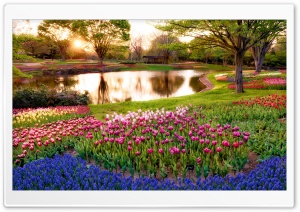 The Spring Glow Ultra HD Wallpaper for 4K UHD Widescreen desktop, tablet & smartphone