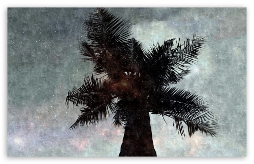 The Star Palm UltraHD Wallpaper for Wide 16:10 5:3 Widescreen WHXGA WQXGA WUXGA WXGA WGA ; 8K UHD TV 16:9 Ultra High Definition 2160p 1440p 1080p 900p 720p ; UHD 16:9 2160p 1440p 1080p 900p 720p ; Standard 4:3 5:4 3:2 Fullscreen UXGA XGA SVGA QSXGA SXGA DVGA HVGA HQVGA ( Apple PowerBook G4 iPhone 4 3G 3GS iPod Touch ) ; Tablet 1:1 ; iPad 1/2/Mini ; Mobile 4:3 5:3 3:2 16:9 5:4 - UXGA XGA SVGA WGA DVGA HVGA HQVGA ( Apple PowerBook G4 iPhone 4 3G 3GS iPod Touch ) 2160p 1440p 1080p 900p 720p QSXGA SXGA ;