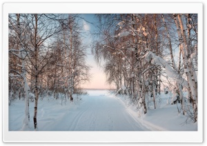 The Winter In The Evening Ultra HD Wallpaper for 4K UHD Widescreen desktop, tablet & smartphone