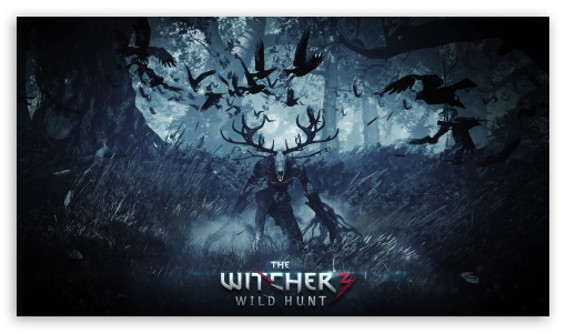 The Witcher 3 Wild Hunt Concept Art UltraHD Wallpaper for HD 16:9 ;