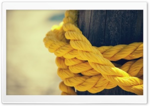 The Yellow Rope Ultra HD Wallpaper for 4K UHD Widescreen desktop, tablet & smartphone