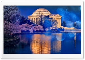 Thomas Jefferson Memorial Cherry Blossom Ultra HD Wallpaper for 4K UHD Widescreen desktop, tablet & smartphone