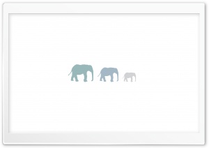 Three Elephants Ultra HD Wallpaper for 4K UHD Widescreen desktop, tablet & smartphone