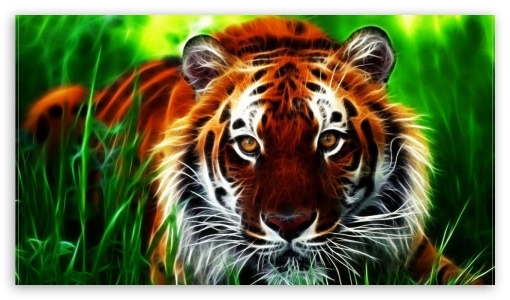 Tiger Art UltraHD Wallpaper for 8K UHD TV 16:9 Ultra High Definition 2160p 1440p 1080p 900p 720p ;