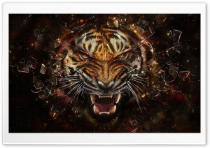 Tiger Backgrounds Ultra HD Wallpaper for 4K UHD Widescreen desktop, tablet & smartphone