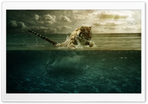 Tiger Leap In The Water Ultra HD Wallpaper for 4K UHD Widescreen desktop, tablet & smartphone