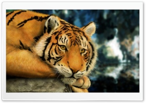 Tiger Painting Ultra HD Wallpaper for 4K UHD Widescreen desktop, tablet & smartphone