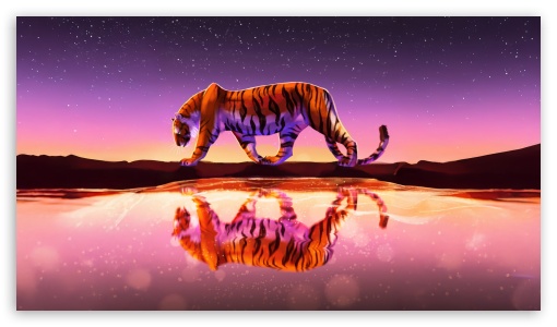 Tiger Reflected In Water Under Starry Sky UltraHD Wallpaper for UHD 16:9 ; HD 16:9 ;