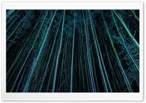 TighTrees Ultra HD Wallpaper for 4K UHD Widescreen desktop, tablet & smartphone
