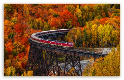 Timeless Autumn Train Rides UltraHD Wallpaper for UHD 16:9 ; HD 16:9 ; UltraWide 21:9 24:10 32:9 32:10 ; Widescreen 16:10 5:3 ; Fullscreen 4:3 5:4 3:2 ; Tablet 1:1 ; Dual 16:10 5:3 16:9 4:3 5:4 3:2 ;