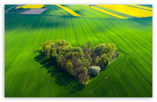 Tiny Forest, Love, Green Field, Aerial View UltraHD Wallpaper for UHD 16:9 ; HD 16:9 ; UltraWide 21:9 24:10 32:9 32:10 ; Widescreen 16:10 5:3 ; Fullscreen 4:3 5:4 3:2 ; Tablet 1:1 ; Dual 16:10 5:3 16:9 4:3 5:4 3:2 ;