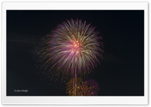 Tokyo Fireworks Ultra HD Wallpaper for 4K UHD Widescreen desktop, tablet & smartphone