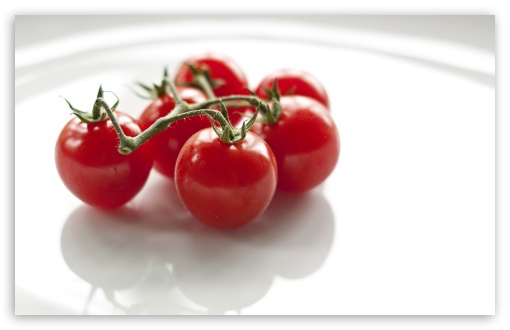 Tomatoes UltraHD Wallpaper for UHD 16:9 ; HD 16:9 ; Widescreen 16:10 5:3 ; Fullscreen 4:3 5:4 3:2 ; Tablet 1:1 ; Dual 5:4 ;