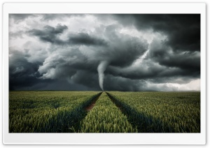 Tornado Over Open Field 4K UHD Wallpaper for Widescreen and UltraWide Desktop, UltraHD TV, Smartphone, Tablet