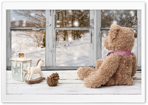 Toy Bear Beside Window Ultra HD Wallpaper for 4K UHD Widescreen Desktop, Lockscreen, Screensaver, TV, Tablet, Smartphone