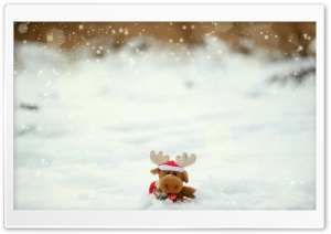 Toy Moose Ultra HD Wallpaper for 4K UHD Widescreen desktop, tablet & smartphone