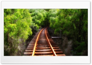 Tracks In The Wood 4K UHD Wallpaper for Widescreen and UltraWide Desktop, UltraHD TV, Smartphone, Tablet