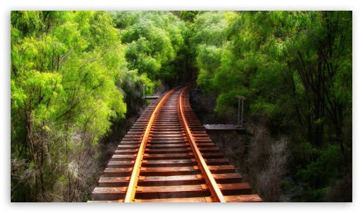 Tracks In The Wood UltraHD Wallpaper for HD 16:9 ;