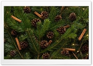 Traditional Christmas Tree Ornaments Ultra HD Wallpaper for 4K UHD Widescreen desktop, tablet & smartphone