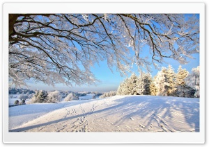 Trails In The Snow Ultra HD Wallpaper for 4K UHD Widescreen desktop, tablet & smartphone