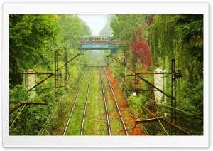 Train Passing By Ultra HD Wallpaper for 4K UHD Widescreen desktop, tablet & smartphone